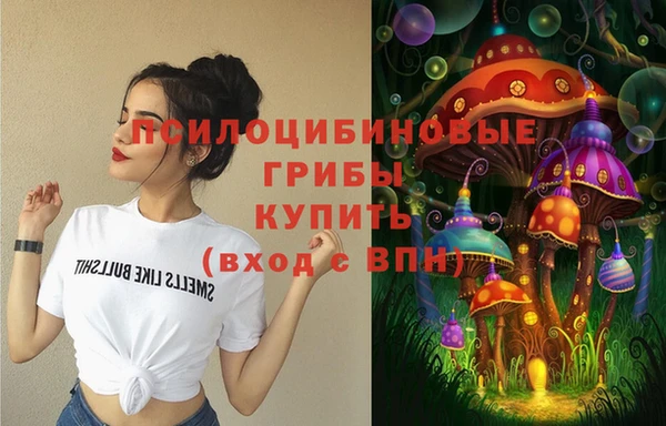 синтетический гашиш Белокуриха
