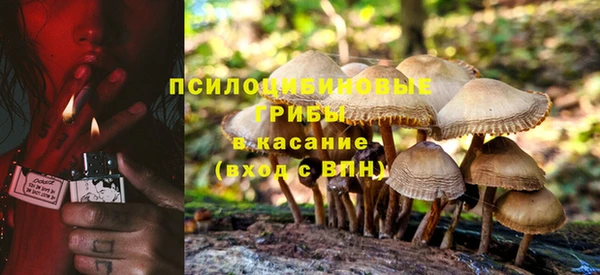 синтетический гашиш Белокуриха
