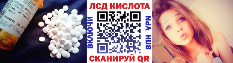 магазин продажи Тулун Лсд 25 экстази ecstasy