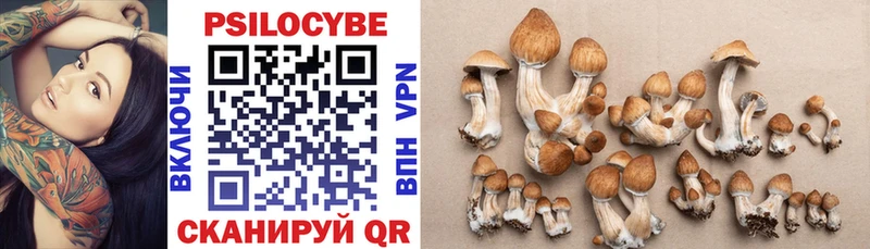 Псилоцибиновые грибы Psilocybe  Тулун 